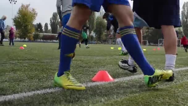 Equipo Fútbol Femenino Practicando Deportes Femeninos Kiev Ucrania Octubre 2016 — Vídeos de Stock