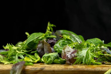 Yeşil salata karışımını kapat. Taze salata roka, mor marul, ıspanak, friz ve pazı yaprağı.