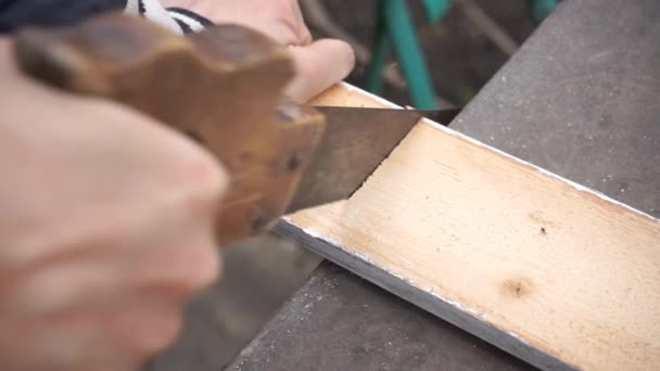 Sciage Planche Bois Avec Vieille Scie Rouillée Maison — Video