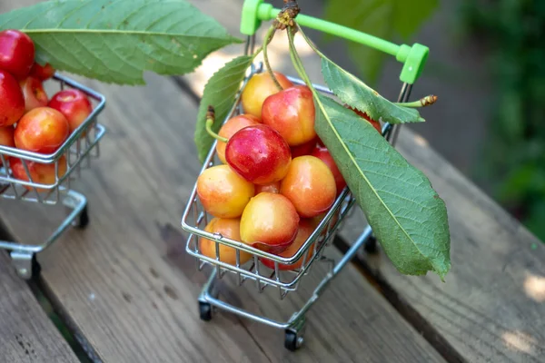 Cerezas Frescas Maduras Carrito Compra Frutas Bayas Concepto Compra — Foto de Stock