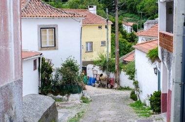 Portekiz 'de küçük evleri ve turuncu çatıları olan tipik eski köy caddesi.