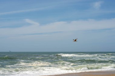 Kum sahilinde köpüklü okyanus dalgaları.