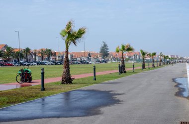 Costa Nova 'da palmiye ağaçları, yeşil çimenler ve küçük şirin evler, Portekiz