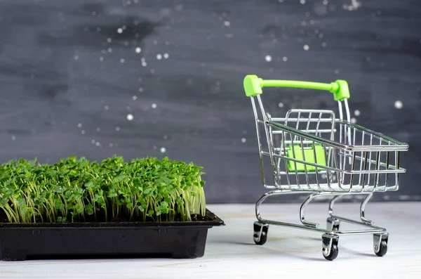 Microgreens Den Warenkorb Frische Öko Lebensmittel Und Grünes Lieferkonzept — Stockfoto