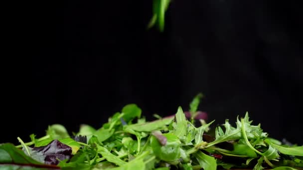慢镜头的绿色沙拉混合物落在桌子上 新鲜色拉 带有红景菜 紫色生菜 茴香和沙丁叶 背景为黑色 — 图库视频影像