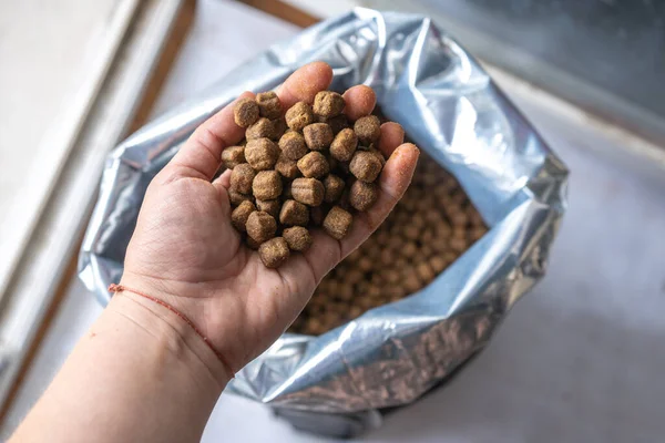 Naylon poşetin önünde kuru köpek maması, orta boy köpekler için hayvan yemi.