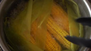 Kaynar suda taze mısır pişir.