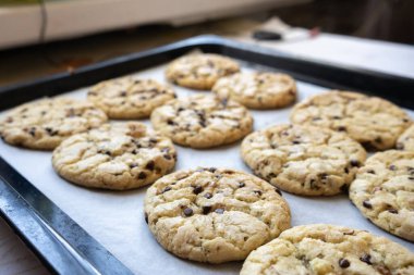 Fırında fındıklı klasik çikolatalı kurabiyeler.