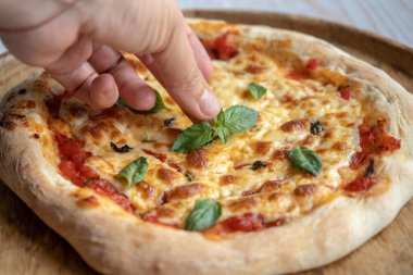 Mozzarella ve fesleğenli klasik pizza margherita, evde pizza yapmak.