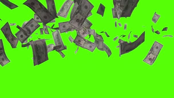 在绿色屏幕上用一百五十美元的钞票做的雨 — 图库视频影像