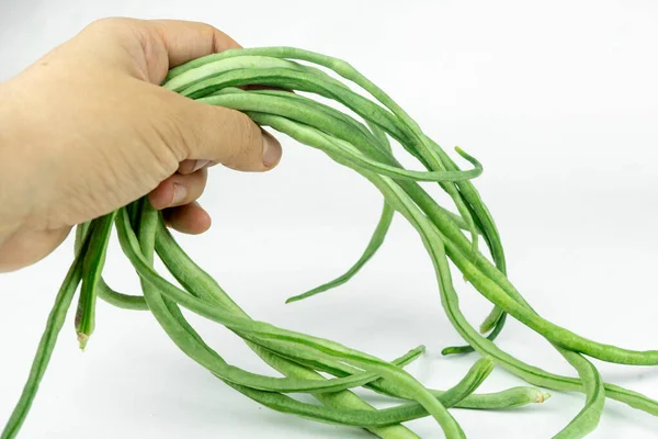 手に入れた新鮮な長い緑の豆は — ストック写真
