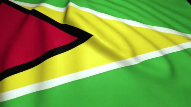 Размахивание Реалистичным Флагом Гайаны Анимация Цикла — стоковое видео