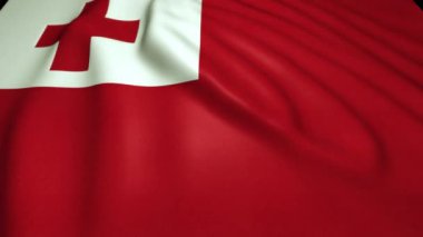 4K 'da gerçekçi Tonga bayrağı sallamak, döngü animasyonu