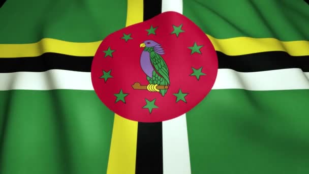 Размахивание Реалистичным Флагом Доминиканы Анимация Цикла — стоковое видео