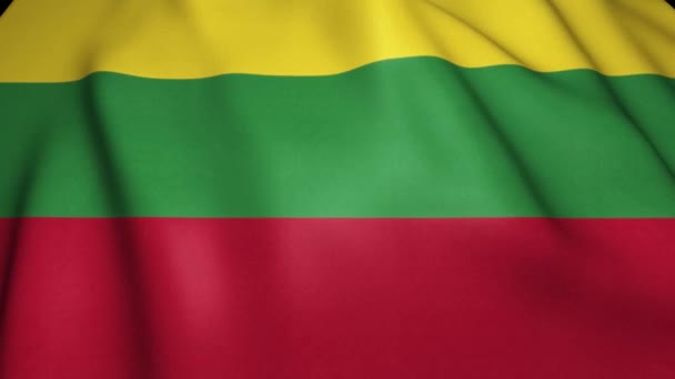Sventolando Realistica Bandiera Lituana Animazione Loop — Video Stock