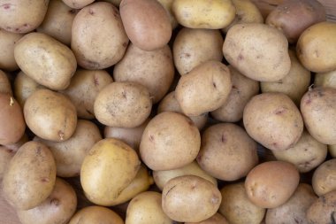 Çiğ patates geçmişi, yaz sebze hasadı.