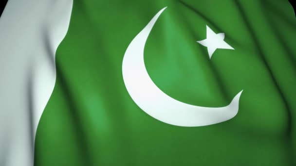 Hintergrund Weht Eine Realistische Pakistanische Flagge Schleifenanimation — Stockvideo