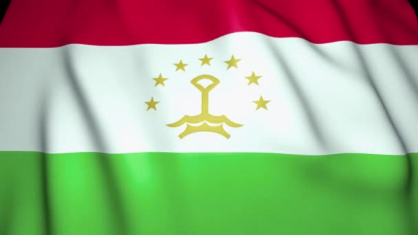 Agitando Fondo Realista Bandera Tayikistán Animación Loop — Vídeos de Stock