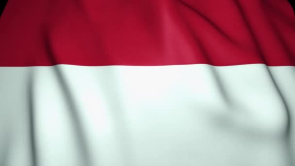 挥动现实的印度尼西亚国旗背景 循环动画 — 图库视频影像