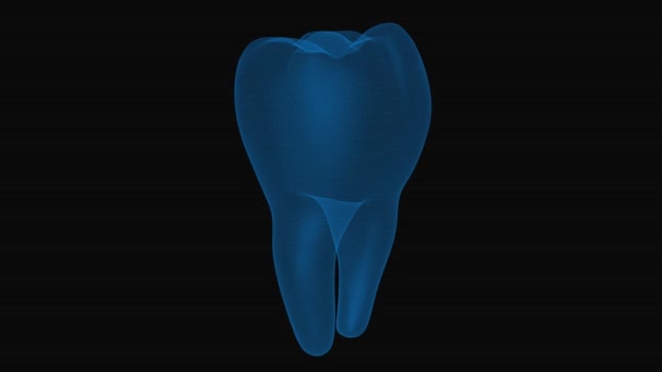 Концепція Рентгенівського Знімка Зуба Каркасний Зуб Обертання Петлі Чорному Тлі — стокове відео