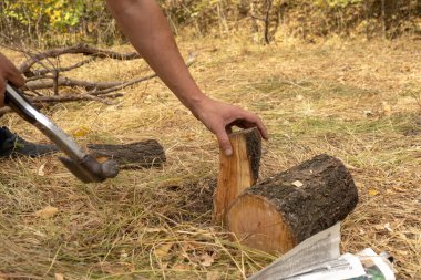 Ormanda şenlik ateşi yakmak için baltayla odun kesmek. Kamp ateşi.