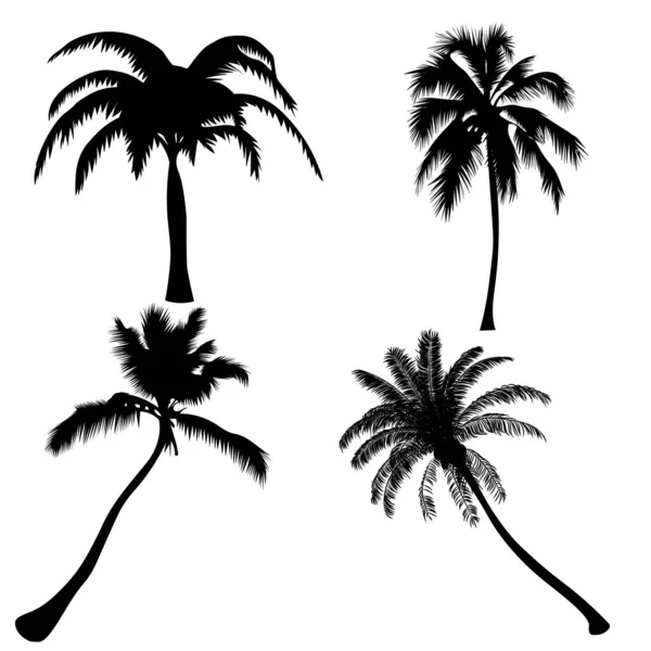 Impostare palme isolare su sfondo bianco — Vettoriale Stock