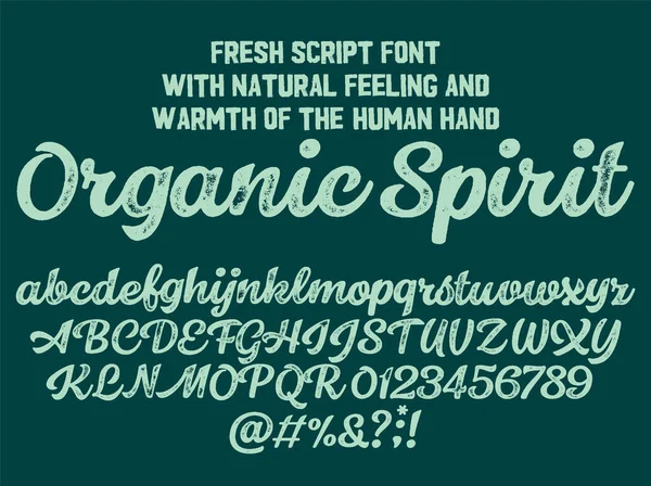 Wektor Retro Organic Spirit Czcionka Pisania Pisma Ręcznie Pisany Alfabet — Wektor stockowy