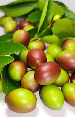 Carissa Carandas, Carunda, Karonda tohumları olgun pembe veya kırmızı renkli, tropikal narenciye karanda veya koromcha meyvesi, Karandaor carunda.