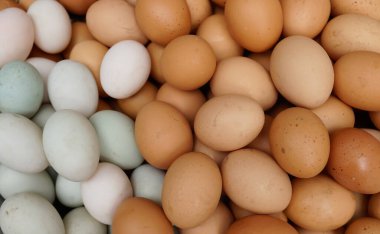 Pazar yerinde tavuk yumurtası, yumurta fotoğrafı. Bangladeş pazarında satılık tavuk yumurtası birine güç vermek için Bangladeş 'te bulunan yaygın bir yemektir..