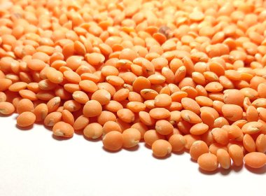 Masor dal.Masoor beyaz arka planda, Kırmızı Masoor Dal - Hint yemeklerinde kullanılan küçük kırmızı renkli mercimek.