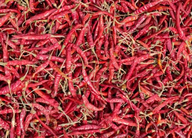 Bitki ve baharatlı gıdanın kuru kırmızı biber malzemesi..