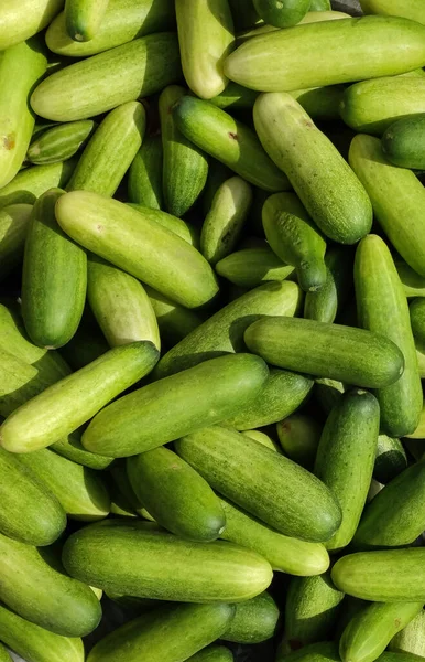 Komkommer Achtergrond Van Markt — Stockfoto