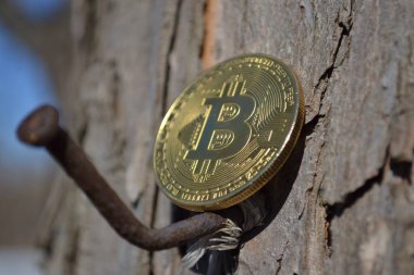 Samanın arka planında Bitcoin şifreli para birimi