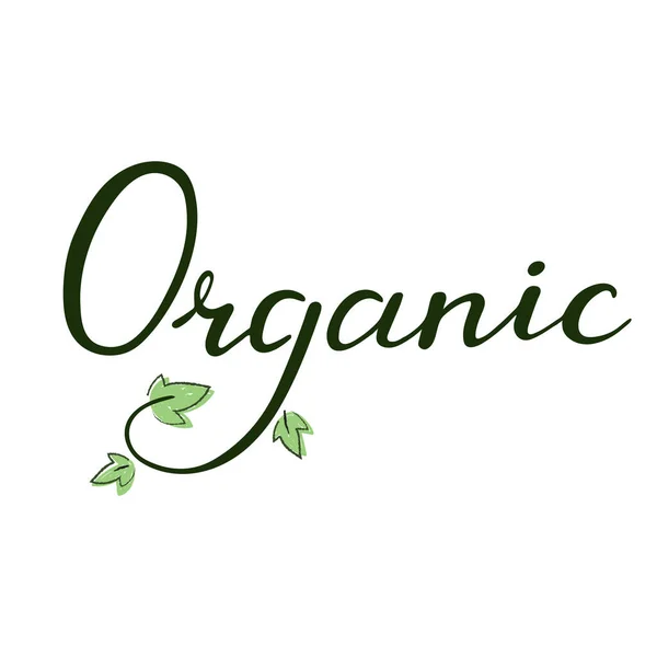 Organik Yiyeceklerin Çizimi Logosu Vektör Illüstrasyonu — Stok Vektör