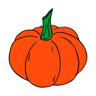 Balkabağım, vektör çizimi. Beyaz arkaplanda izole.