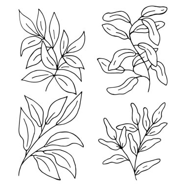 Yapraklı bir dal seti, beyaz bir arka planda izole edilmiş. El çizimi vektör çizimi. Özetlenmiş siyah ve beyaz vintage tarzı.