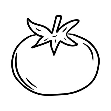 Domates. Karalama biçiminde el çizimi vektör çizimi, beyaz arkaplanda izole edilmiş.