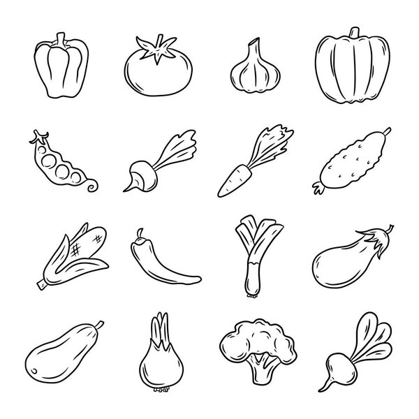 Set of vegetables: carrot, garlic, tomato, pepper, pea, cucumber, pumpkin,  onion, corn, eggplant, broccoli, beet. Hand drawn vector illustration in doodle style, isolated on a a white background.