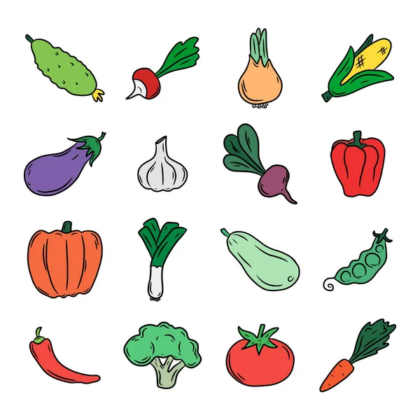 Conjunto Vegetais Ilustração Vetorial Desenhada Mão Estilo Doodle Isolada Fundo —  Vetores de Stock