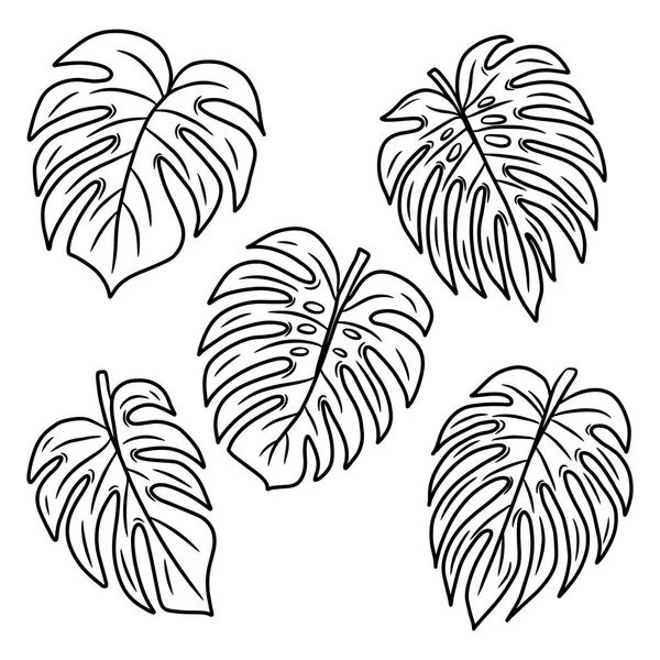 Een Stel Blaadjes Monstera Handgetekende Vector Illustratie Doodle Stijl Geïsoleerd — Stockvector