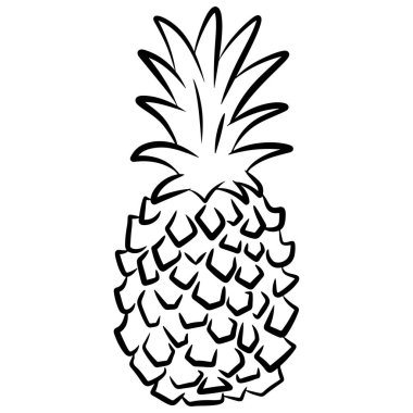 Ananas. Karalama biçiminde el çizimi vektör çizimi, beyaz arkaplanda izole edilmiş.