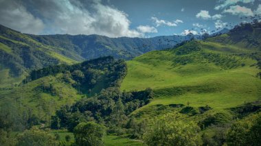 Ormanlı, gökyüzü, ağaç manzaralı