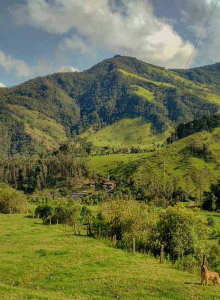 landscape with montains, tree, river and house