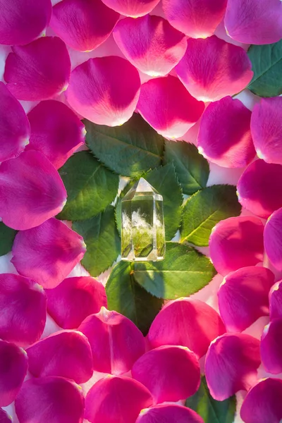 Clear and  bright crystal quartz in a ray of sunshine on floral rose petals background. Concentration of high vibe energy and harmony with crystal and flowers, power of nature