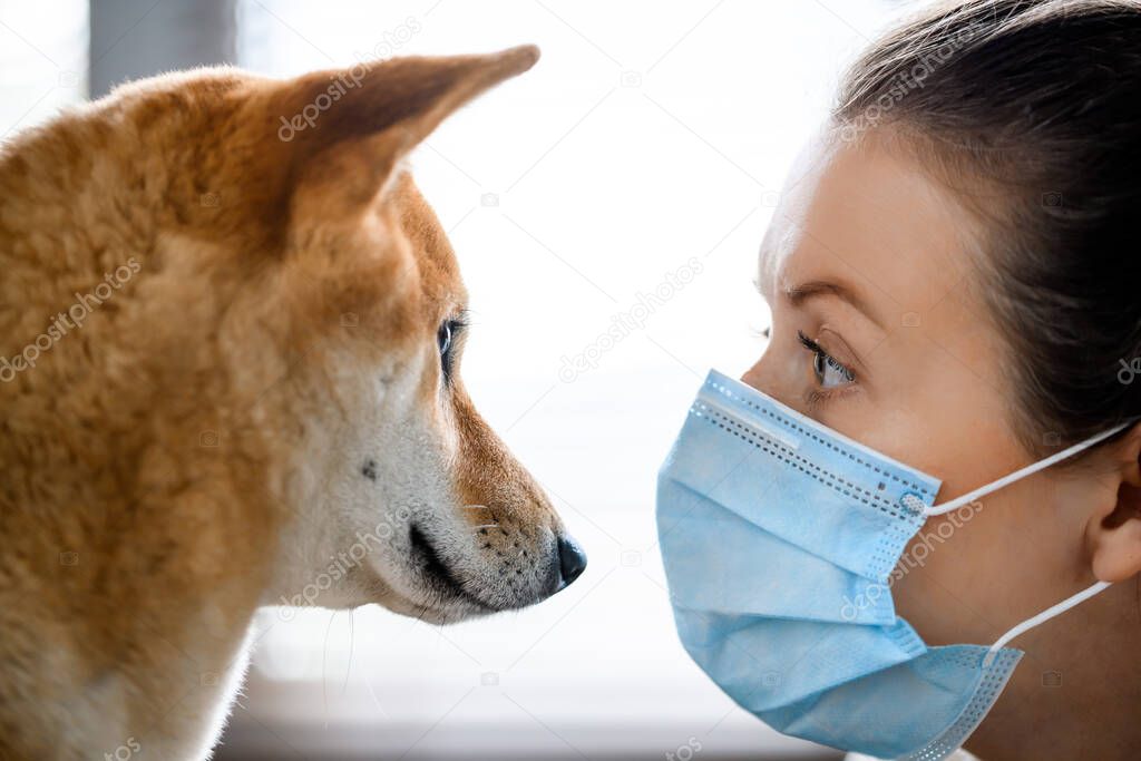 A girl in a medical mask and a dog of the Shiba Inu breed look yey to yey to each other. 