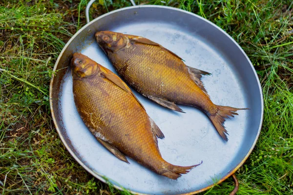 Sıcak Tütsülenmiş Balık Tavanın Üstünde Iki Tütsülenmiş Balık — Stok fotoğraf