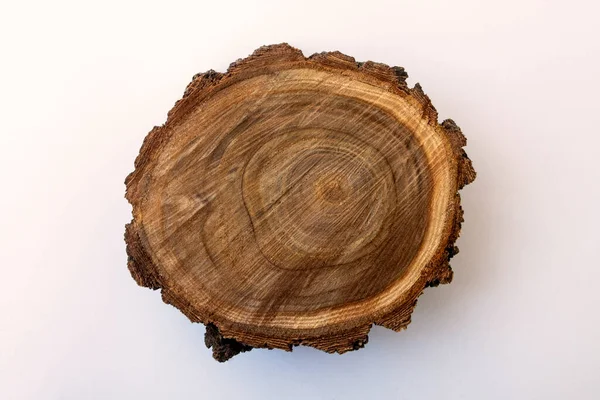 Round cut of tree with growth rings and texture on a white background. Top view close up.