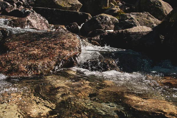 Su, dağ nehrine yerleştirilmiş taşların arasından hızla akıyor..