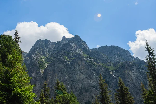 Popradske Gölü 'nün etrafındaki bir dağ manzarası..