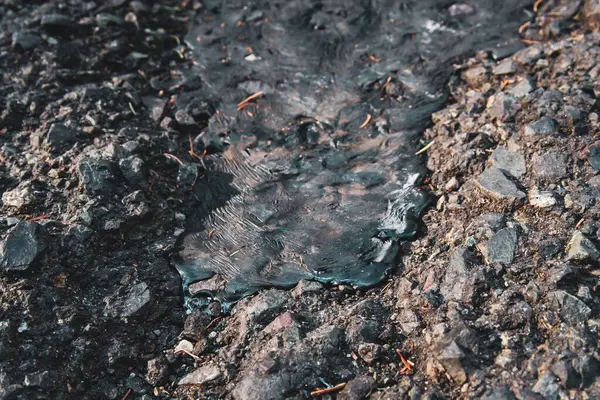 Ormandaki yola yeni asfalt döküldü..